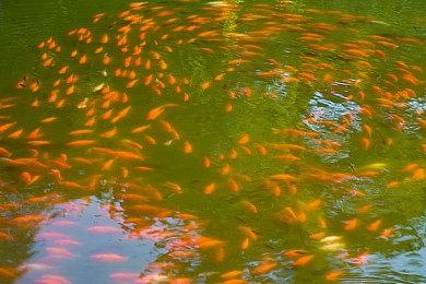 郑州海关查获2700对侵权游戏手柄 含“nintendo”及“索尼”标识