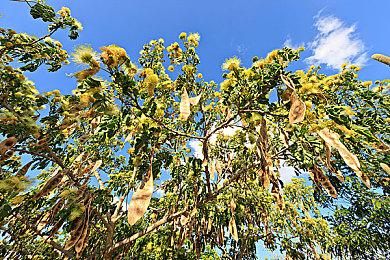 《给他爱OL》DLC公布让玩家不满：我们只想要GTA6